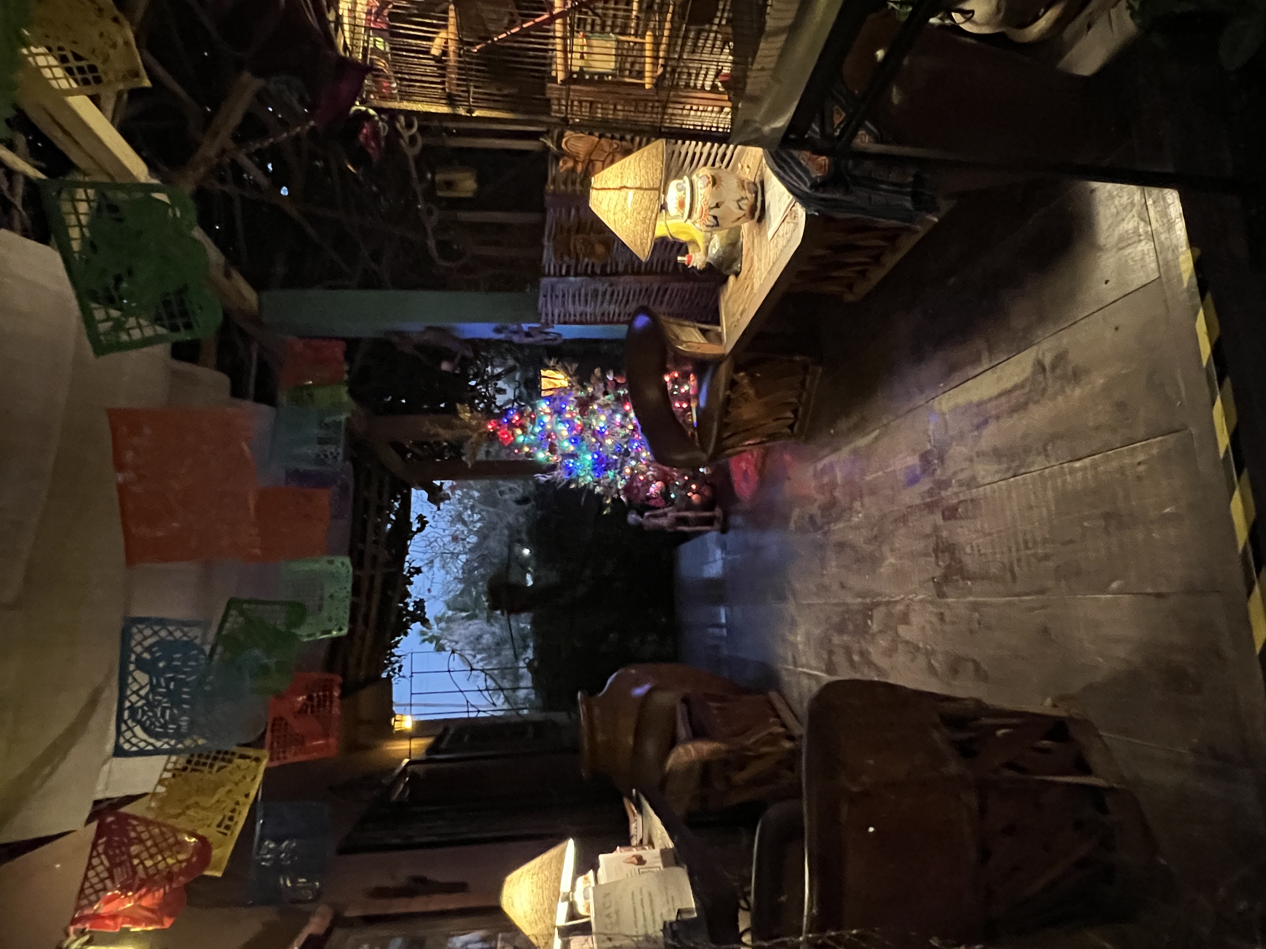 ./2024/13 - Cabo/IMG_4904.jpg